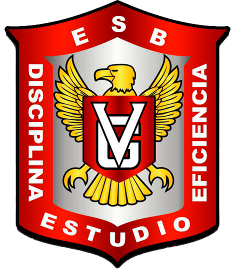 Escuela Secundaria y de Bachilleres Vicente Guerrero_logo